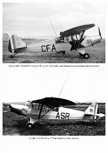 Piper L-21B_000040